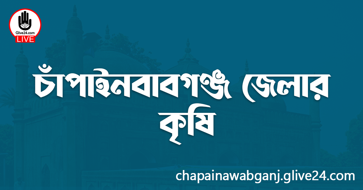 চাঁপাইনবাবগঞ্জ জেলার কৃষি